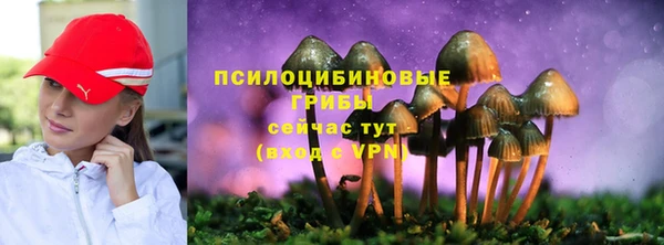 первитин Дмитров
