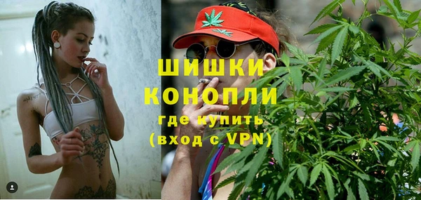 Альфа ПВП Дмитровск