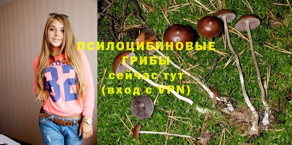 Альфа ПВП Дмитровск