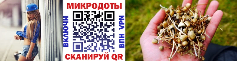 Галлюциногенные грибы Magic Shrooms Калачинск